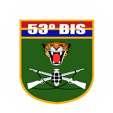 Brasão do 53º BIS